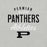 Close-up view of Permian High School Panthers Grey Premium Unisex T-shirt 034