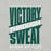 Close-up view of Reagan High School Rattlers Grey Premium Unisex T-shirt 241