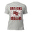 Round Rock High School Dragons Grey Premium Unisex T-shirt 233