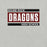 Close-up view of Round Rock High School Dragons Grey Premium Unisex T-shirt 098