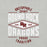 Close-up view of Round Rock High School Dragons Grey Premium Unisex T-shirt 210