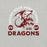 Close-up view of Round Rock High School Dragons Grey Premium Unisex T-shirt 208