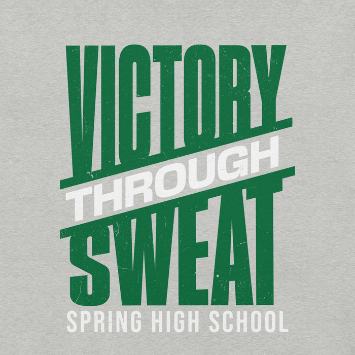 Close-up view of Spring High School Lions Grey Premium Unisex T-shirt 241