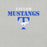 Close-up view of Taylor High School Mustangs Grey Premium Unisex T-shirt 017