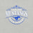 Close-up view of Taylor High School Mustangs Grey Premium Unisex T-shirt 211
