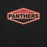 Close-up view of Caney Creek High School Panthers Black Premium Unisex T-shirt 009