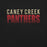 Close-up view of Caney Creek High School Panthers Black Premium Unisex T-shirt 024