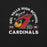 Close-up view of Del Valle High School Cardinals Black Premium Unisex T-shirt 208