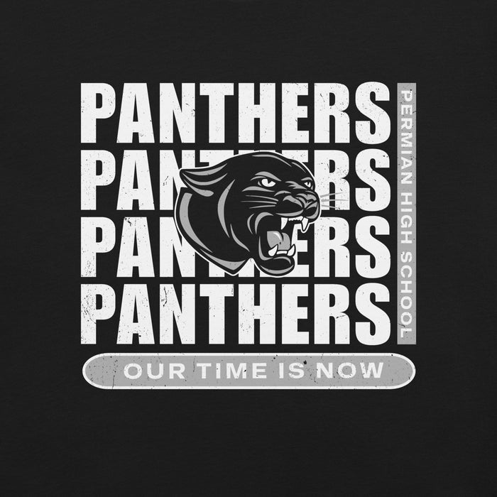 Panthers logo with text 'Panthers' repeated and 'Our Time is Now' on a black background - premium t-shirt design 235