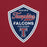 Close-up view of Tompkins High School Falcons Cardinal Red Premium Unisex T-shirt 225