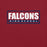 Close-up view of Tompkins High School Falcons Cardinal Red Premium Unisex T-shirt 049