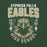Close-up view of Cypress Falls High School Eagles Forest Green Premium Unisex T-shirt 204