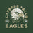 Close-up view of Cypress Falls High School Eagles Forest Green Premium Unisex T-shirt 208