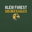 Close-up view of Klein Forest High School Golden Eagles Premium Forest Green Unisex T-shirt 017