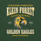 Close-up view of Klein Forest High School Golden Eagles Premium Forest Green Unisex T-shirt 230