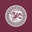 Close-up view of Round Rock High School Dragons Maroon Premium Unisex T-shirt 216
