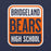 Close-up view of Bridgeland High School Bears Premium Navy Blue Unisex T-shirt 001