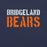 Close-up view of Bridgeland High School Bears Premium Navy Blue Unisex T-shirt 017