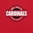 Close-up view of Del Valle High School Cardinals Red Premium Unisex T-shirt 011