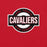 Close-up view of Lake Travis High School Cavaliers Red Premium Unisex T-shirt 011