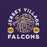 Close-up view of Jersey Village High School Falcons Purple Premium Unisex T-shirt 208