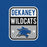 Close-up view of Dekaney High School Wildcats Royal Blue Premium Unisex T-shirt 001