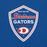 Close-up view of Dickinson High School Gators Royal Blue Premium Unisex t-shirt 225
