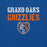 Close-up view of Grand Oaks High School Grizzlies Premium Royal Blue Unisex T-shirt 017