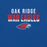 Close-up view of Oak Ridge High School War Eagles Royal Blue Premium Unisex T-shirt 024
