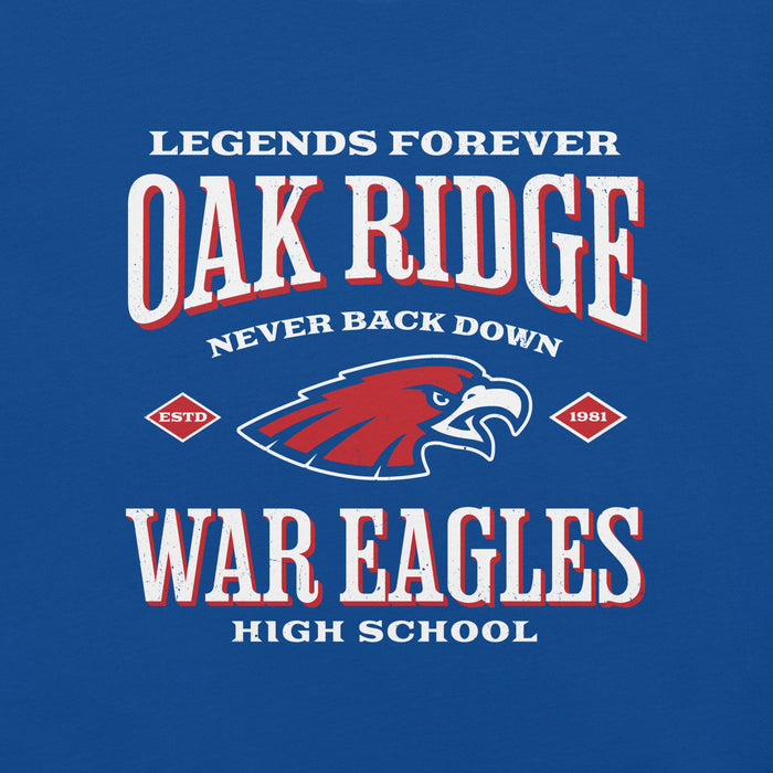 Close-up view of Oak Ridge High School War Eagles Royal Blue Premium Unisex T-shirt 230