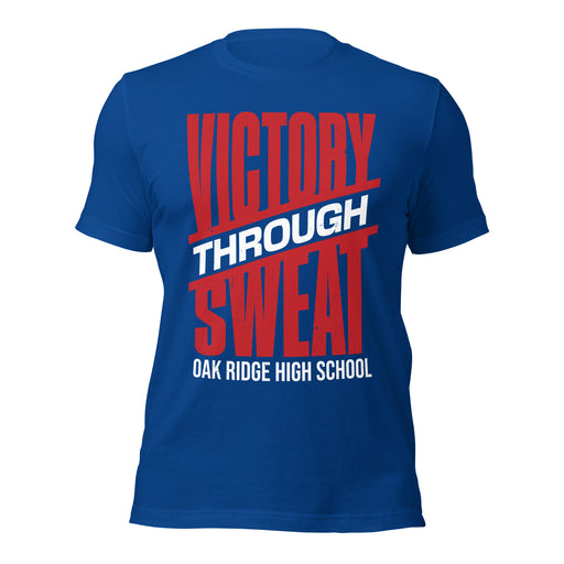 Oak Ridge High School War Eagles Royal Blue Premium Unisex T-shirt 241