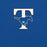 Close-up view of Taylor High School Mustangs Royal Blue Premium Unisex T-shirt 200