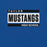 Close-up view of Taylor High School Mustangs Royal Blue Premium Unisex T-shirt 098