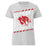 Tomball High School Cougars Women's Grey SoftStyle T-shirt 223