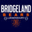 Bridgeland Bears Premium Navy Hoodie - Design 03