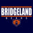 Bridgeland Bears Premium Navy T-shirt - Design 07