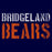 Bridgeland Bears Premium Navy Hoodie - Design 17