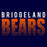 Bridgeland Bears Premium Navy Hoodie - Design 24