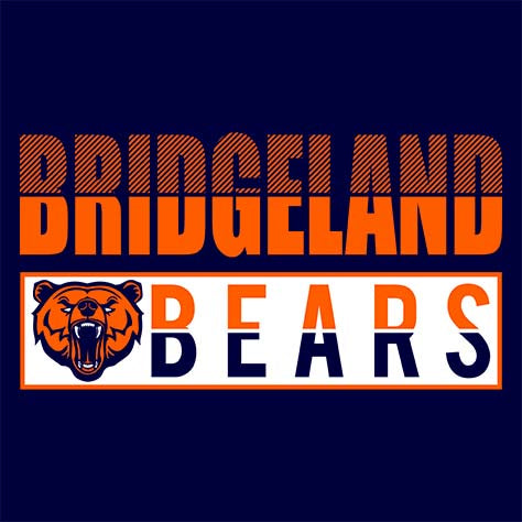 Bridgeland Bears Premium Navy Hoodie - Design 31