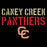 Caney Creek Panthers Premium Black Hoodie - Design 17