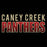 Caney Creek Panthers Premium Black Hoodie - Design 24