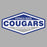 Cypress Creek High School Cougars Sports Grey Garment Design 09