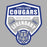 Cypress Creek Cougars Premium Grey Hoodie - Design 14