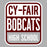 Cy-Fair High School Bobcats Sports Grey Garment Design 01