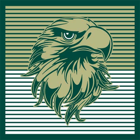 Cypress Falls Eagles Premium Forest Green T-shirt - Design 27