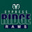 Cypress Ridge Rams Premium Forest Green T-shirt - Design 23