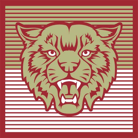 Cypress Woods High School Wildcats Deep Red Garment Design 27