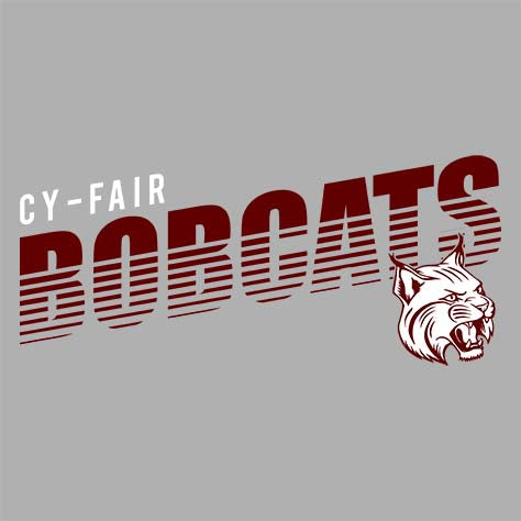 Cy-Fair HS Baseball on X: ⚾️2022 State Playoff Shirts⚾️ If you would like  a shirt, please fill out the form below to pre-order. Shirts are $15 each.  All shirt orders must be