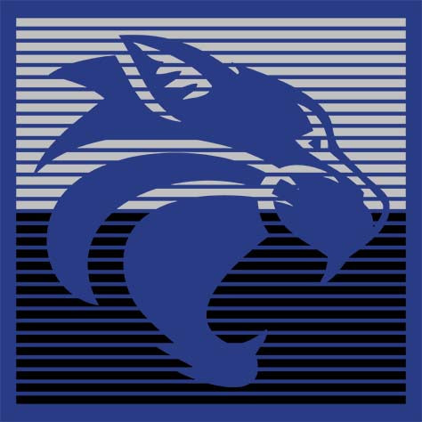 Dekaney High School Wildcats Royal Blue Garment Design 27