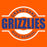 Grand Oaks High School Grizzlies Orange Garment Design 11